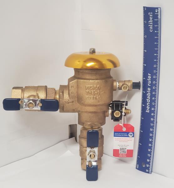 FEBCO - 1in. Bronze Pressure Vacuum Breaker Backflow Preventer with Quarter Turn Shutoff & Tee Handles, Freeze Sensor