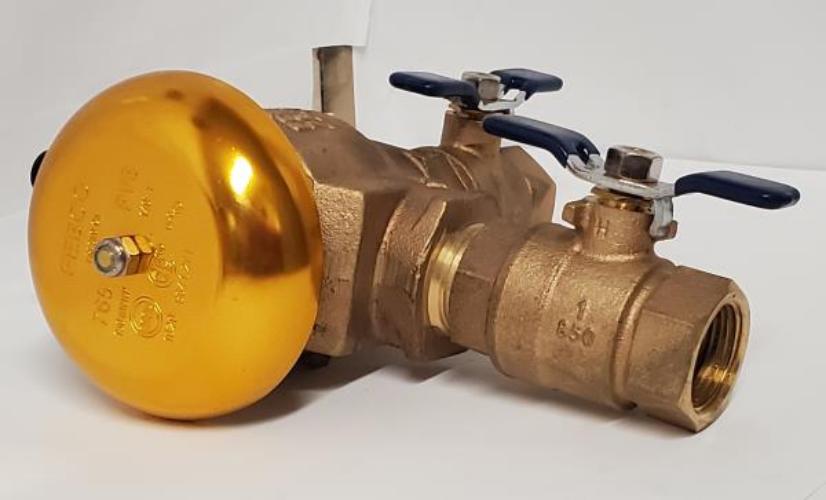 FEBCO - 1in. Bronze Pressure Vacuum Breaker Backflow Preventer with Quarter Turn Shutoff & Tee Handles, Freeze Sensor